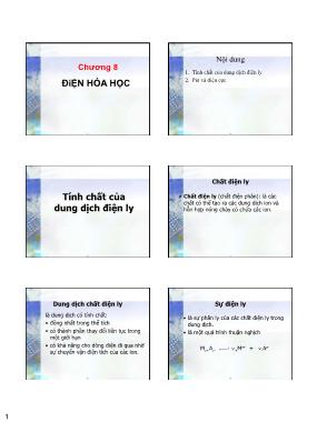 Bài giảng Hóa lý - Chương 8: Điện hóa học