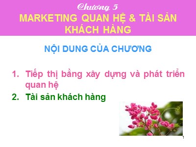Bài giảng Tiếp thị giữa các tổ chức - Chương 5: Marketing quan hệ và tài sản khách hàng - Dương Ngọc Liên