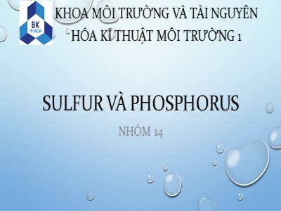 Đề tài Sulfur và Phosphorus