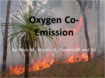 Tài liệu Hóa học vô cơ - Chủ đề: Oxygen Co-Emission