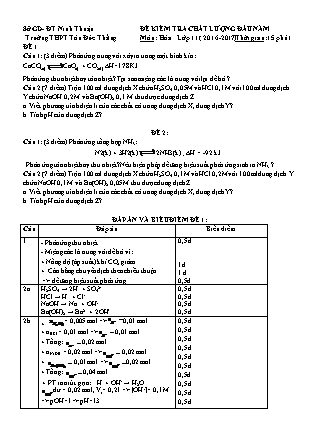 Đề kiểm tra Chất lượng đầu năm môn Hóa học Lớp 11 - Năm học 2016-2017 - Trường THPT Tôn Đức Thắng (Có đáp án)