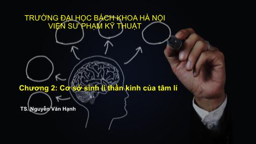 Bài giảng Tâm lý học ứng dụng - Chương 2: Cơ sở sinh lí thần kinh của tâm lí - Nguyễn Văn Hạnh