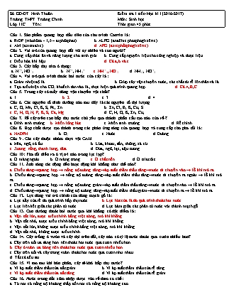 Đề kiểm tra 45 phút môn Sinh học Lớp 11 - Năm học 2016-2017 - Trường THPT Trường Chinh (Có đáp án)
