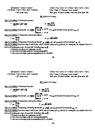Đề kiểm tra Học kì 2 môn Toán Lớp 11 - Năm học 2015-2016 - Trường THPT Tôn Đức Thắng (Có đáp án)