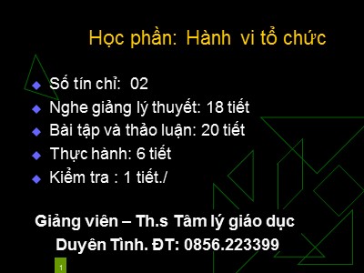 Bài giảng Hành vi tổ chức - Chương 1: Tổng quan về hành vi tổ chức - Duyên Tình
