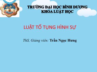 Bài giảng Luật tố tụng hình sự - Chương 1: Khái niệm, nhiệm vụ và các nguyên tắc của Luật tố tụng hình sự Việt Nam - Trần Ngọc Hưng