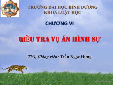 Bài giảng Luật tố tụng hình sự - Chương 6: Điều tra vụ án hình sự - Trần Ngọc Hưng
