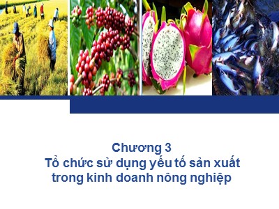 Bài giảng Quản trị kinh doanh nông nghiệp - Chương 3: Tổ chức sử dụng yếu tố sản xuất trong kinh doanh nông nghiệp - Nguyễn Hà Hưng