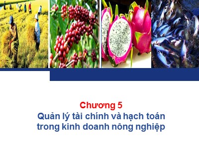 Bài giảng Quản trị kinh doanh nông nghiệp - Chương 5: Quản lý tài chính và hạch toán trong kinh doanh nông nghiệp - Nguyễn Hà Hưng