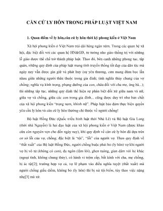 Căn cứ ly hôn trong pháp luật Việt Nam (Phần 1)
