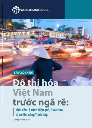 Tài liệu Đô thị hóa Việt Nam trước ngã rẽ: Khởi đầu lộ trình hiệu quả, bao trùm, và có khả năng thích ứng