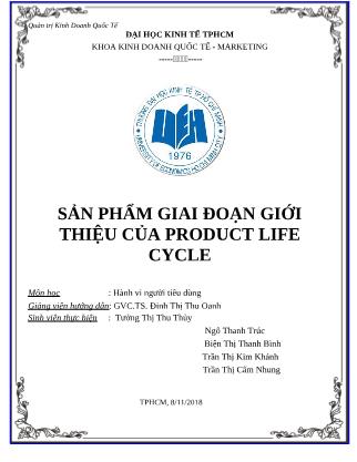 Tiểu luận Sản phẩm giai đoạn giới thiệu của Product Life Cycle